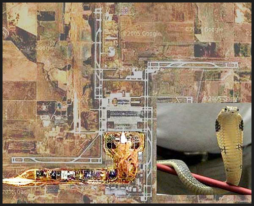 DIA Snake