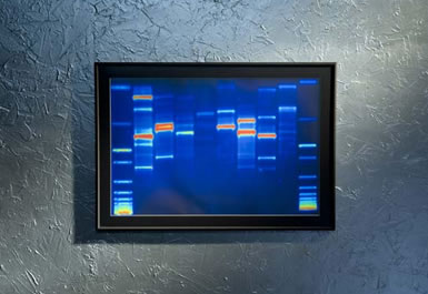 DNA Portrait
