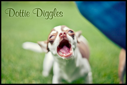 Dottie Diggles