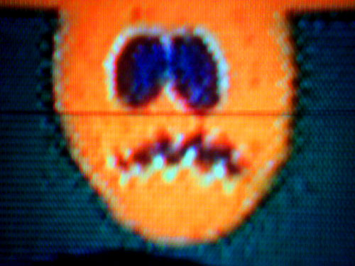 Happy Halloween