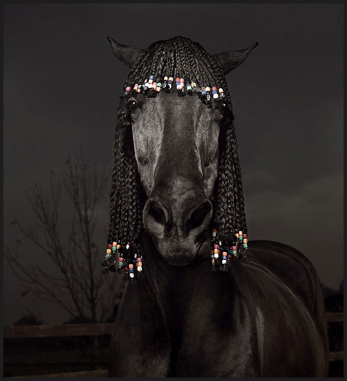 Horse Hair