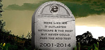 IE Sucks