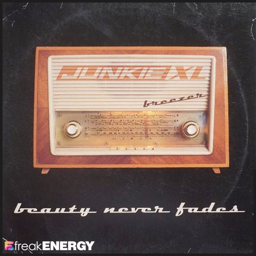 Junkie XL