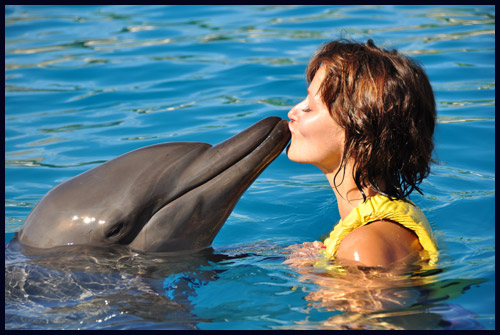Kissing Fish