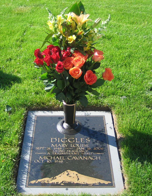 My Moms Grave