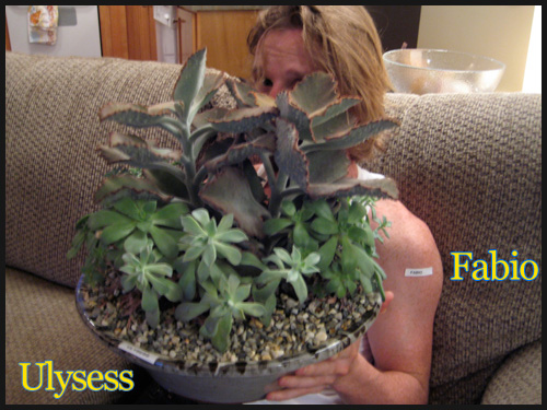 Our plants