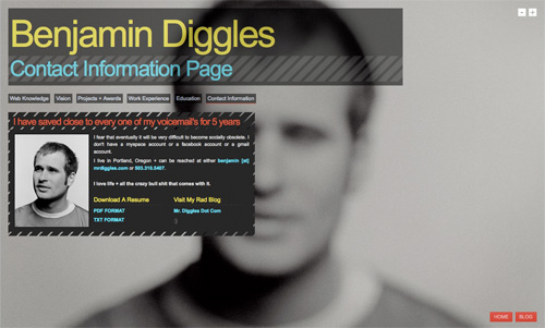 Portfolio Contact Information