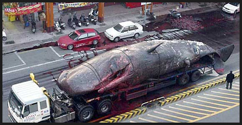 Truck Spills