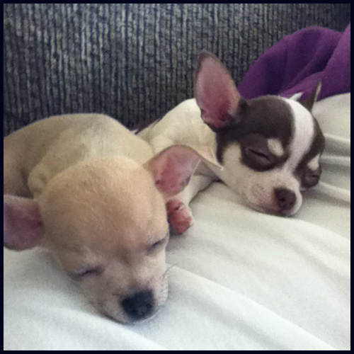 Vera & Dottie Diggles