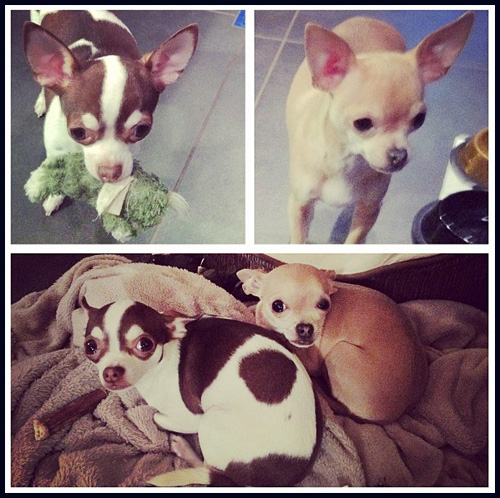Vera & Dottie Diggles