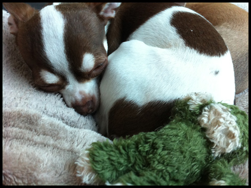 Vera & Dottie Diggles