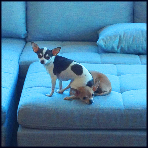 Vera & Dottie Diggles