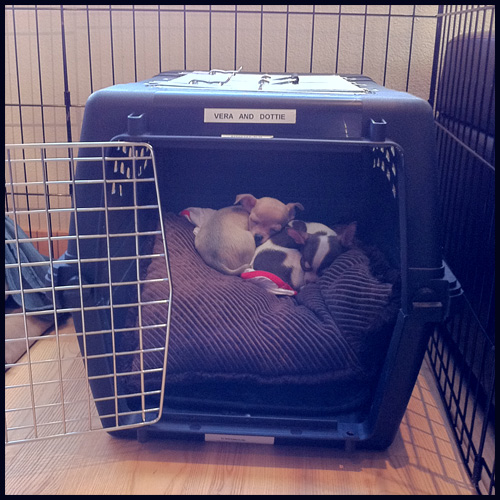 Vera & Dottie Diggles