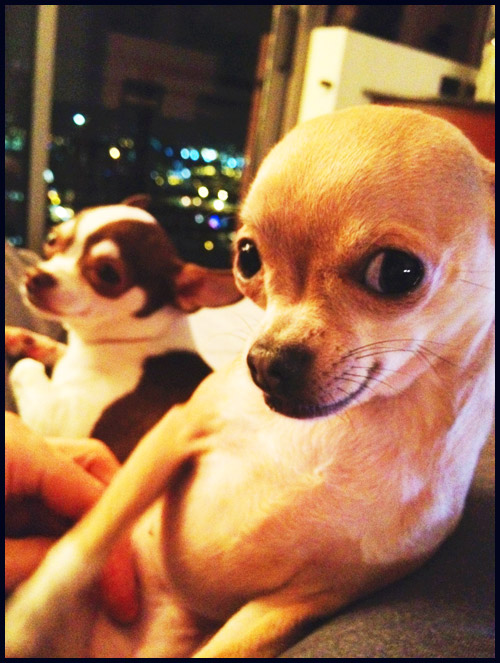 Vera and Dottie